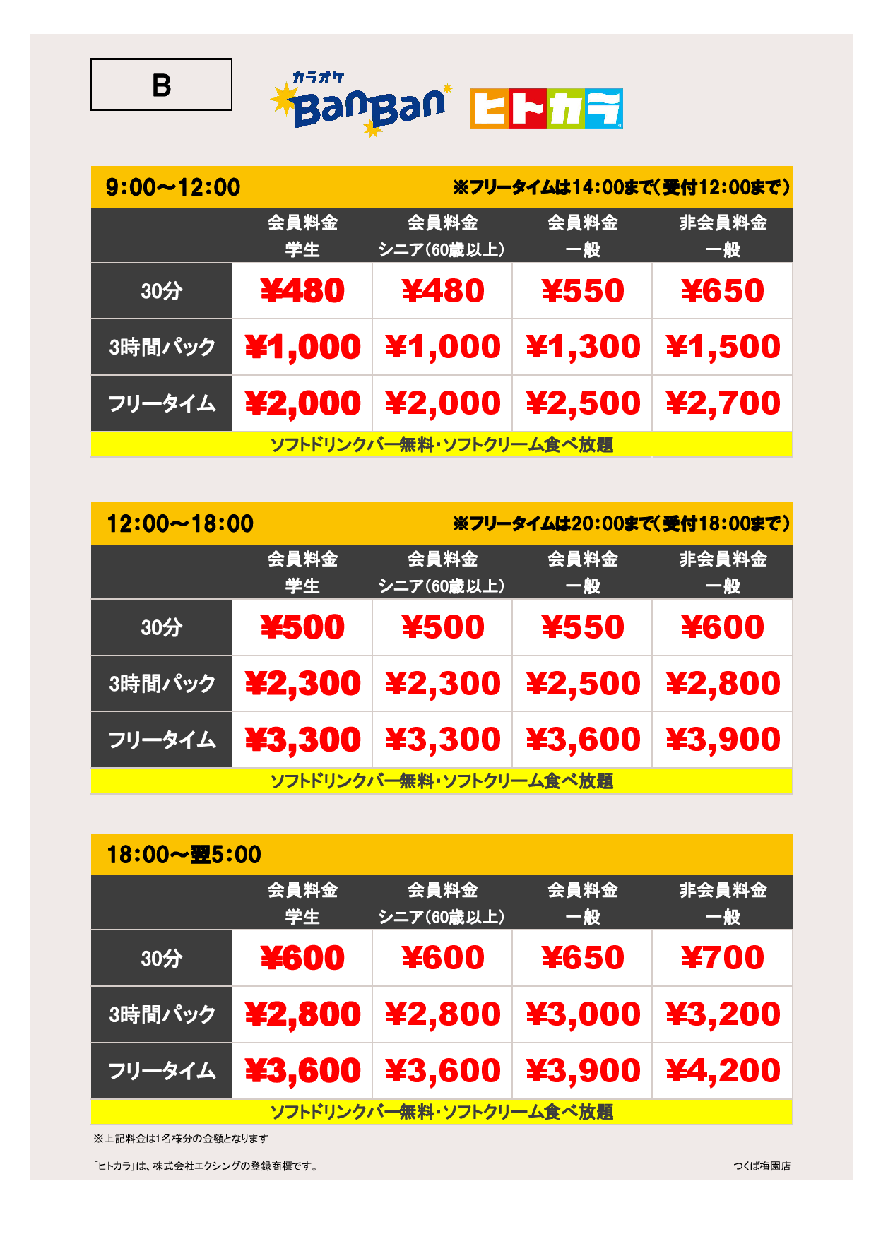 B料金（ヒトカラ）表